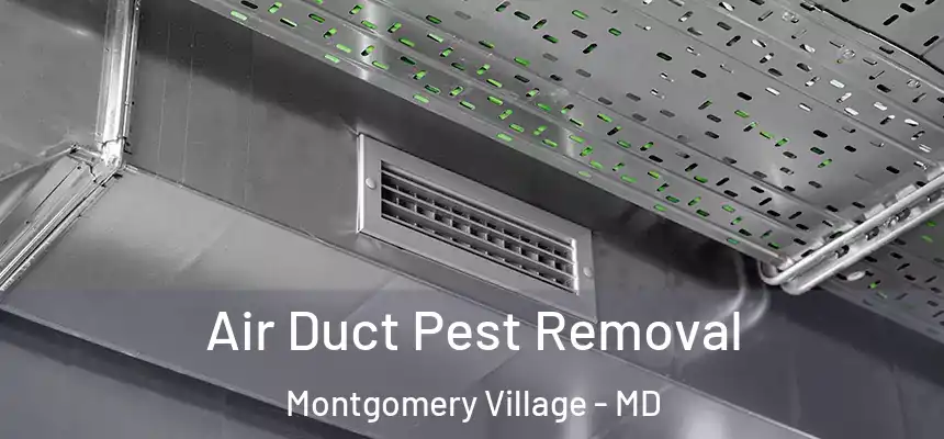  Air Duct Pest Removal Montgomery Village - MD