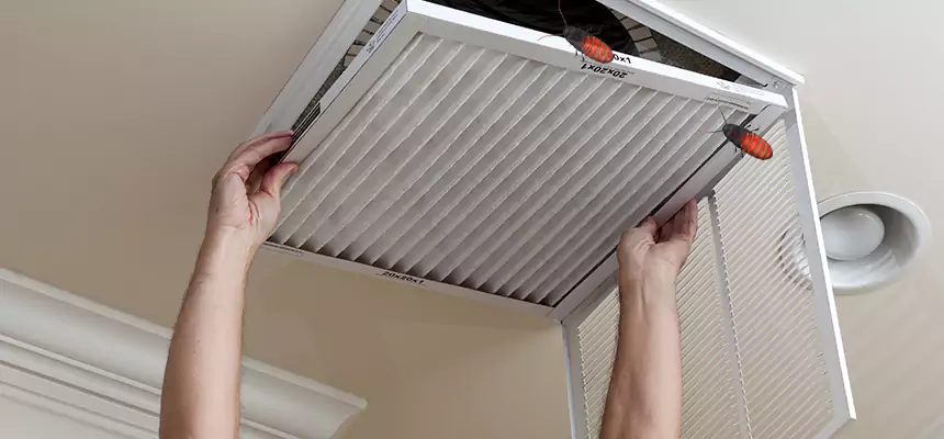 Preventive Cockroach-Proofing for Ducts in Montgomery Village