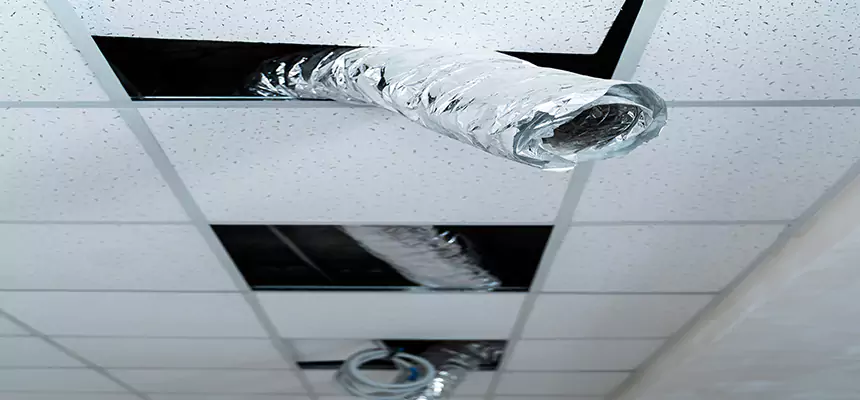 Affordable HVAC Sanitizing After Pest Removal in Montgomery Village