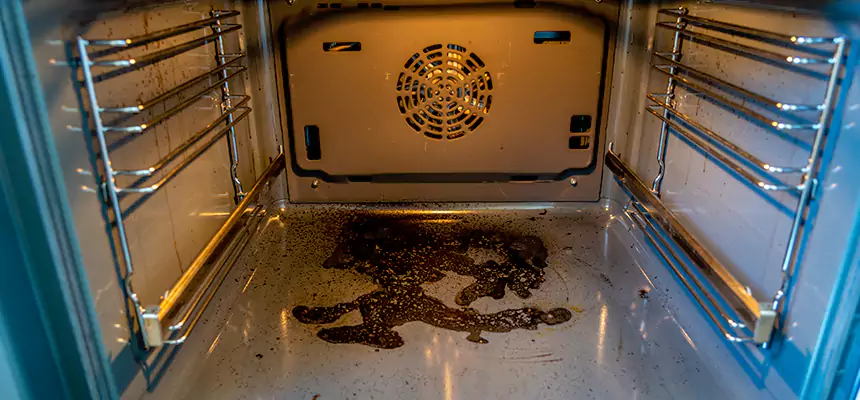 Our Dryer Vent Mold Cleaning Services in Montgomery Village, MD