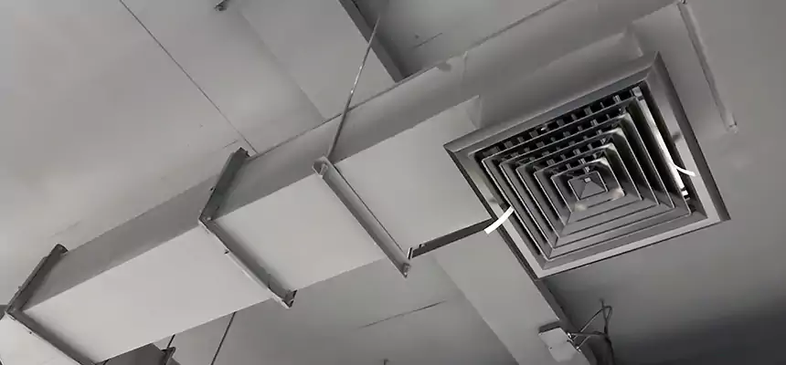 Our Rodent Droppings In Vents Services in Montgomery Village, MD