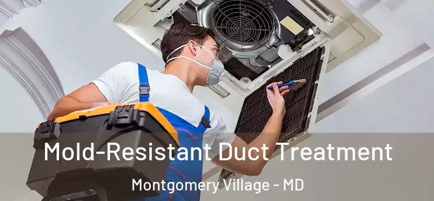  Mold-Resistant Duct Treatment Montgomery Village - MD