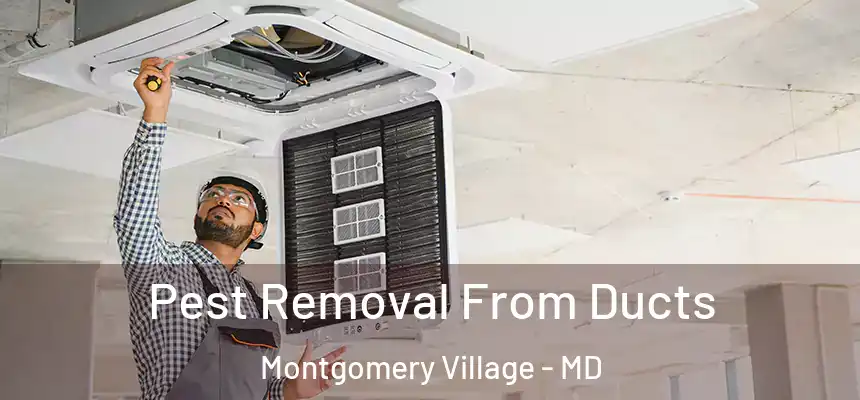 Pest Removal From Ducts Montgomery Village - MD