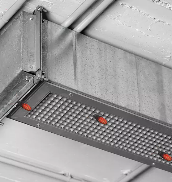 Affordable Insect Removal from Air Ducts in Montgomery Village, MD